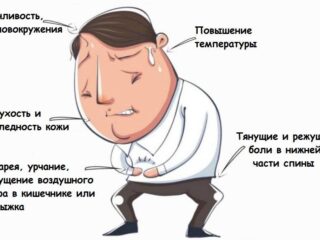 холецист
